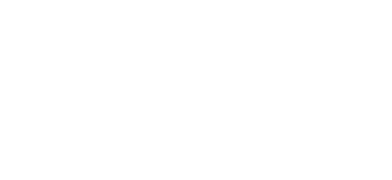 ویزا logo